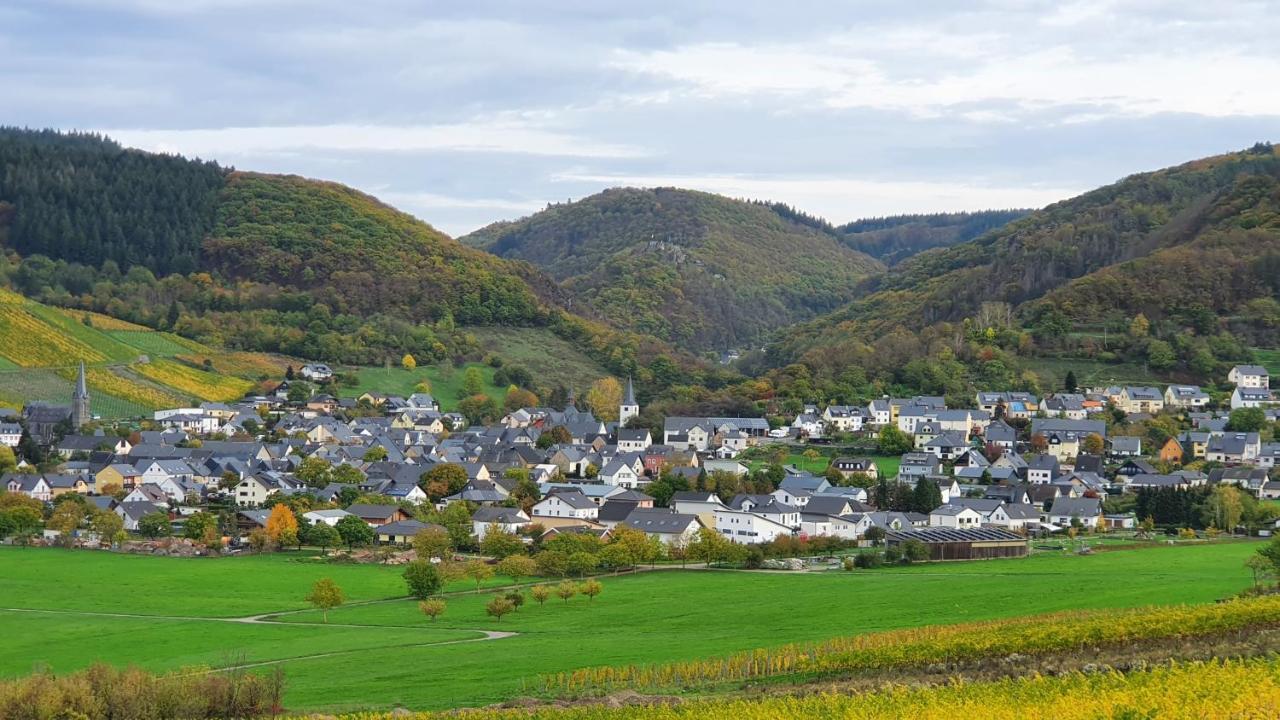 Ferienwohnung Im Moseltal Veldenz Екстер'єр фото